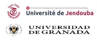 Appel à candidature pour le programme de mobilité entre l’Université de Jendouba et l’Université de Grenade